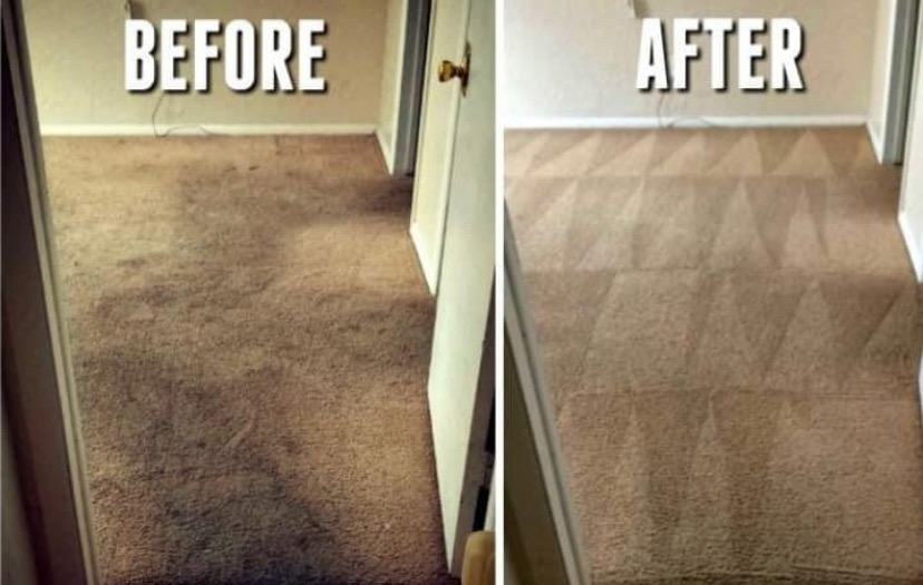 Dependable Carpet Cleaning Services in Goldsboro NC