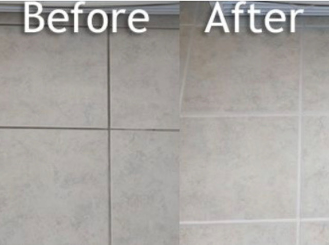 Professional Carpet Cleaning Services in Eastern NC